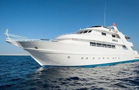 Diving Safari in Red Sea Governorate, Egypt on M/Y Amelia