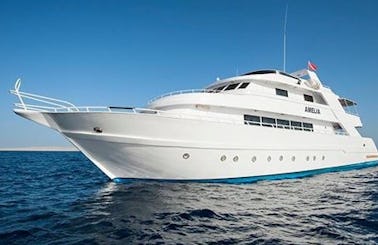 Diving Safari in Red Sea Governorate, Egypt on M/Y Amelia