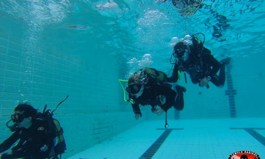 Diving Trips And Courses in Santa Cruz de Tenerife