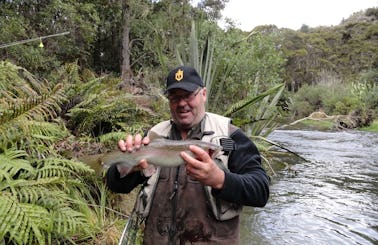 Fly Fishing Trips in Napier