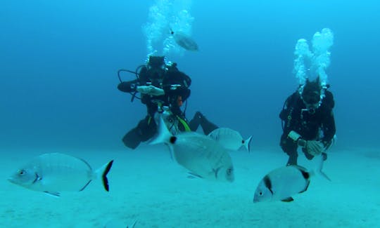 Diving Tours in San Pawl il-Bahar, Malta