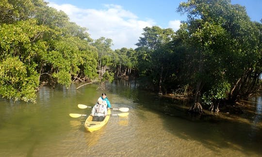 Kayak Tour in Onna-son