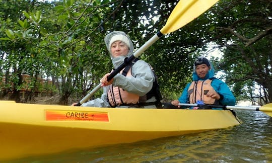 Kayak Tour in Onna-son