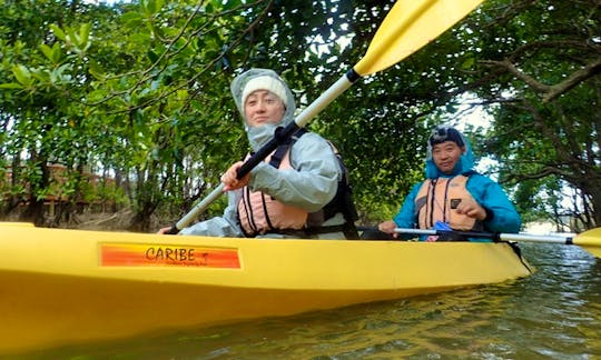 Kayak Tour in Onna-son