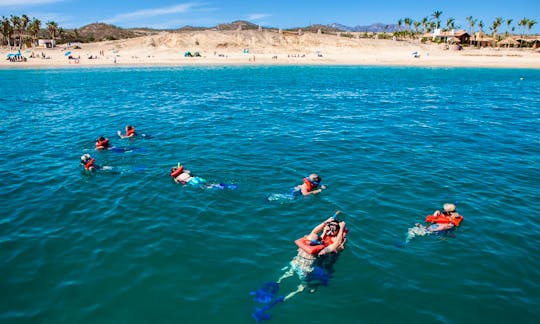Guided Snorkel & Lunch Cruise in Cabo San Lucas, Baja California Sur