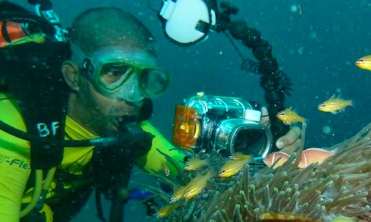 Diving Trips in Alor Setar, Malaysia
