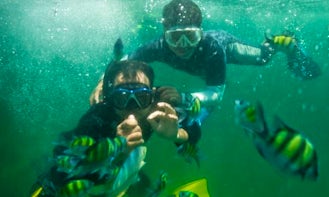 Diving Trips in Alor Setar, Malaysia