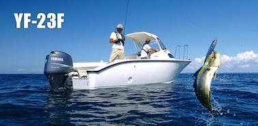 Bateau de location YAMAHA de 24 pieds à Tateyama, connu pour ses eaux claires et transparentes.