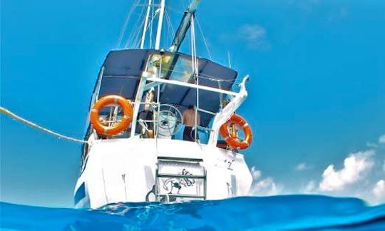 Boat Diving Trips in Cairns City