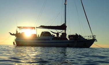 Excursions de plongée en bateau à Cairns