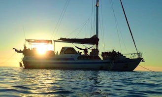''Coral Sea Dreaming'' Boat Diving Trips in Cairns City