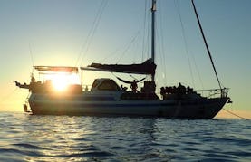 Boat Diving Trips in Cairns City