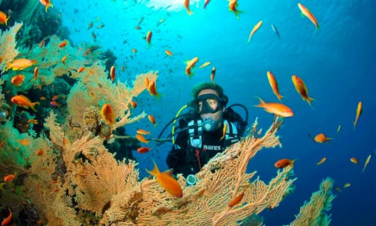 Diving Trips and Courses in Käerjeng