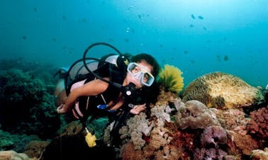 Viajes de buceo en malayo