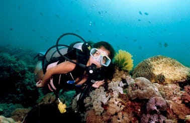 Diving Trips in Malay