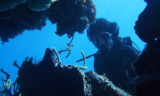 Diving Trips and Courses in Indonesia