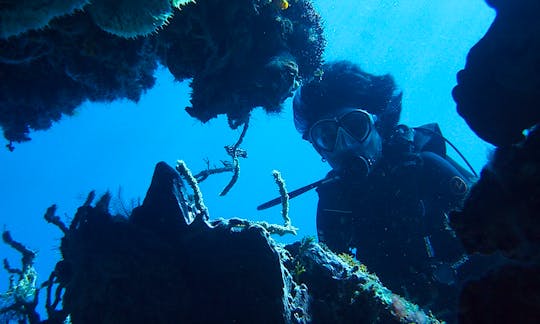 Diving Trips and Courses in Indonesia