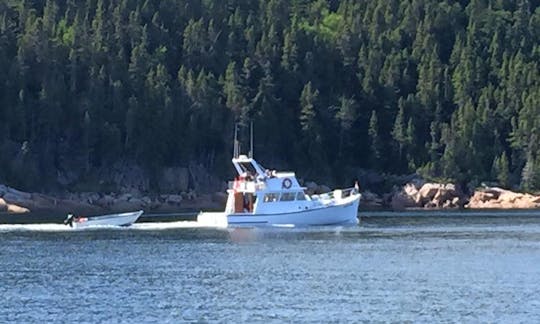 Grady White Cuddy Cabin Charter - 12 People in Lewisporte