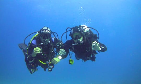 PADI Experience Programmes in South Sinai Governorate, Egypt
