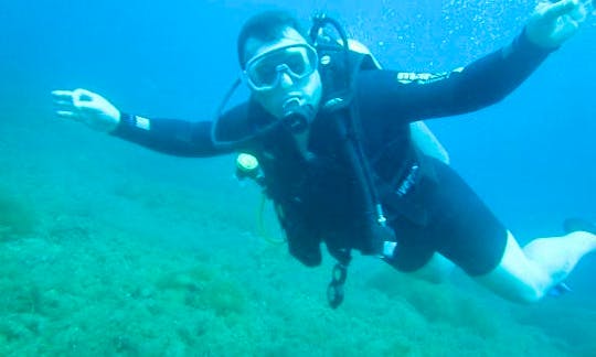 PADI Experience Programmes in South Sinai Governorate, Egypt