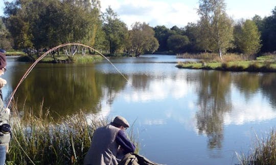 Pesca com mosca em King's Somborne