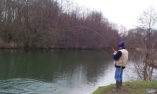 Pesca com mosca em King's Somborne