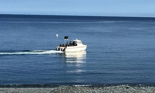 Excursions en bateau de plongée en Angleterre, Royaume-Uni