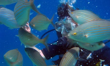 Scuba Diving in Rodos