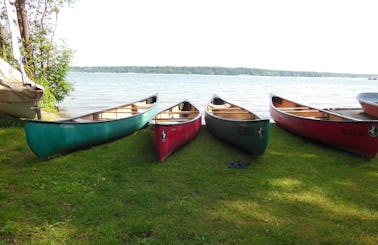 Canoe Rental and Tours in Waren (Müritz)