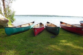 Canoe Rental and Tours in Waren (Müritz)
