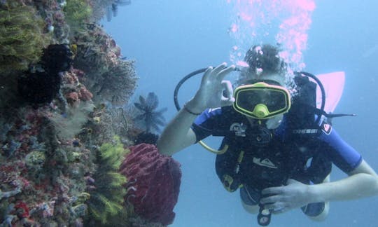 インドネシアのロテ島でのダイビング旅行とレッスン