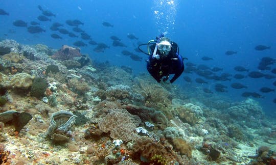 インドネシアのロテ島でのダイビング旅行とレッスン