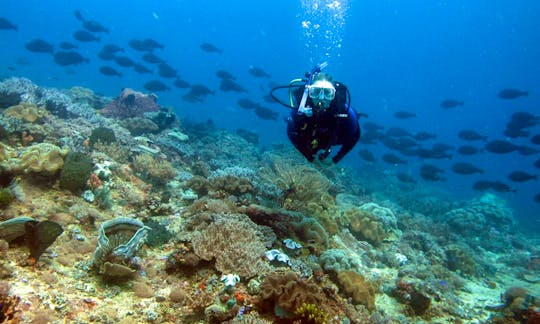 Diving Trip and Lessons in Rote, Indonesia