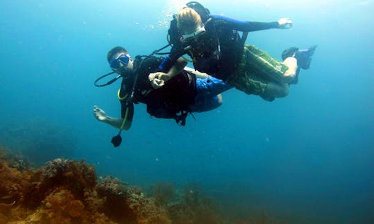 インドネシアのロテ島でのダイビング旅行とレッスン