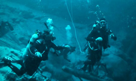 Diving Trips And Courses in Alachua, Florida