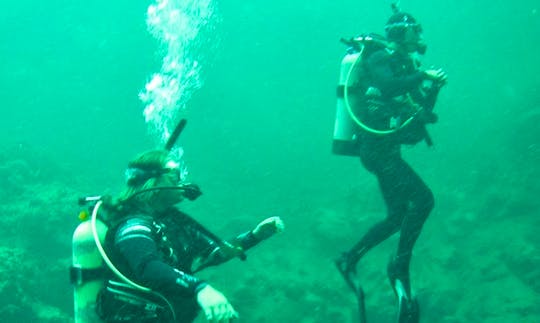 Diving Trips And Courses in Alachua, Florida