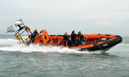 Discover the White Cliffs & Beyond Aboard our Dover Explorer RIB!