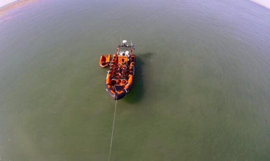 Discover the White Cliffs & Beyond Aboard our Dover Explorer RIB!