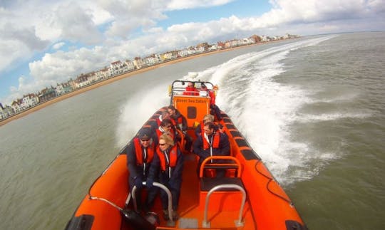 Discover the White Cliffs & Beyond Aboard our Dover Explorer RIB!