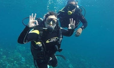 Diving Trips in Dosthill