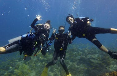 Diving Trips and Courses in Rayong, Thailand