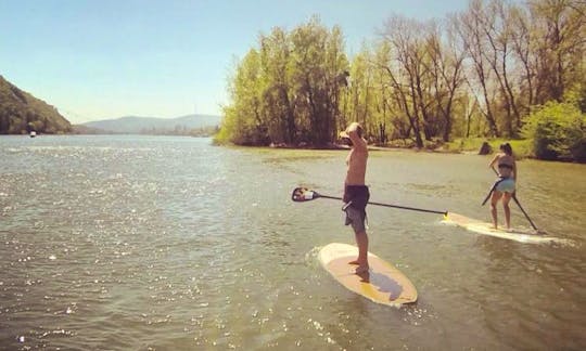 Stand Up Paddleboard Lessons in Koblenz