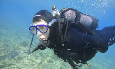 Diving Excursions and Courses in Gaios