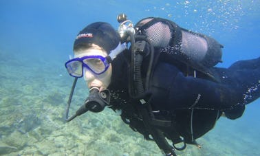 Excursiones y cursos de buceo en Gaios