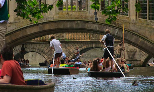 Wooden Gondola Punting Tours in Cambridge