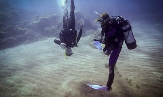 カナリア諸島のアバデスでPADIコースをお楽しみください