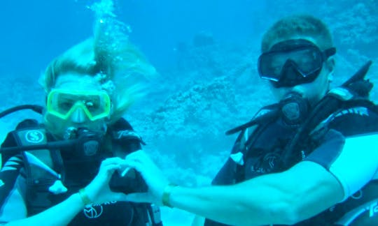 Enjoy Diving Courses and Trips in South Sinai Governorate, Egypt