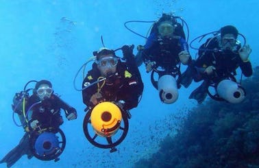 Enjoy Diving Courses and Trips in South Sinai Governorate, Egypt