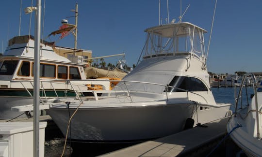 Fishing Charter on 31ft Sport Fisherman in Cabo San Lucas, Baja California Sur