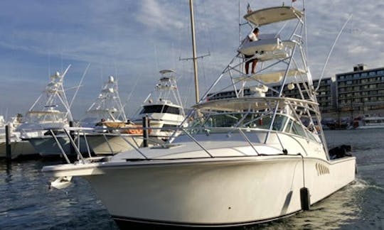 Location de pêche sur un bateau de pêche sportive Cabo Express de 40 pieds à Cabo San Lucas !